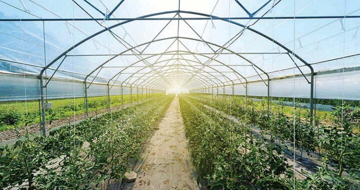 Going Green with Eco-Friendly Farm Supplies – What You Need to Know